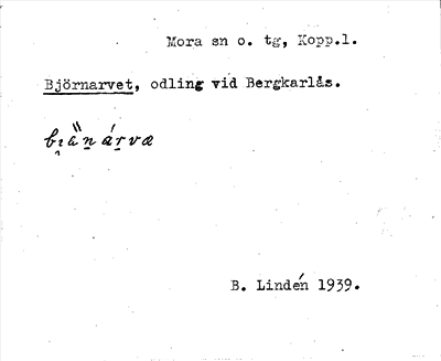 Bild på arkivkortet för arkivposten Björnarvet