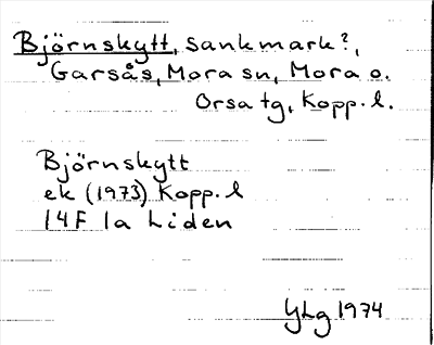 Bild på arkivkortet för arkivposten Björnskytt