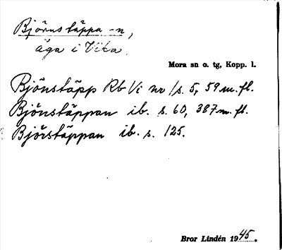 Bild på arkivkortet för arkivposten Björnstäppa -n