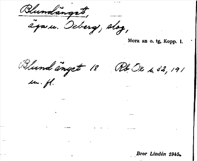 Bild på arkivkortet för arkivposten Blundänget