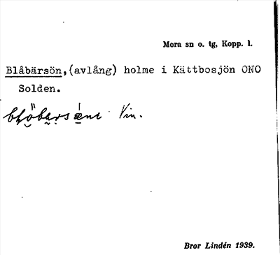 Bild på arkivkortet för arkivposten Blåbärsön