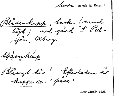 Bild på arkivkortet för arkivposten Blåsenkupp