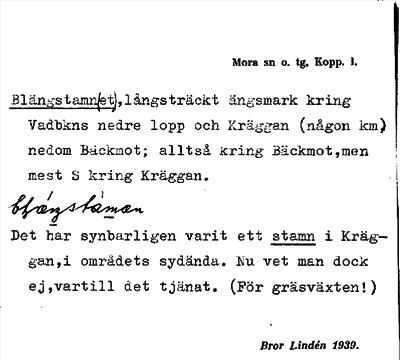Bild på arkivkortet för arkivposten Blängstamn(et)