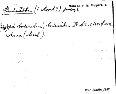 Bild på arkivkortet för arkivposten Bodnäbben