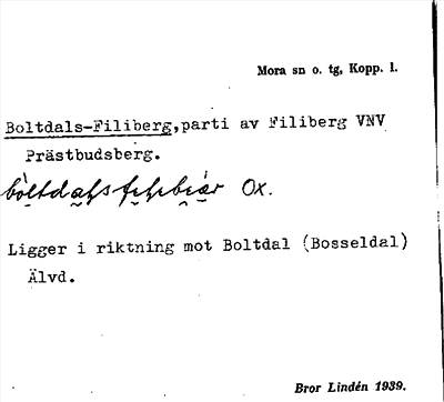 Bild på arkivkortet för arkivposten Boltdals-Filiberg