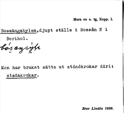 Bild på arkivkortet för arkivposten Bossängshylen