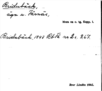Bild på arkivkortet för arkivposten Bridubäck