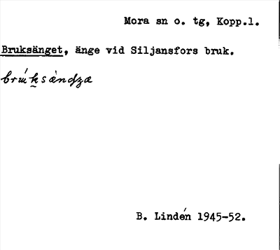 Bild på arkivkortet för arkivposten Bruksänget