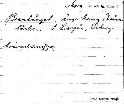 Bild på arkivkortet för arkivposten Brundänget