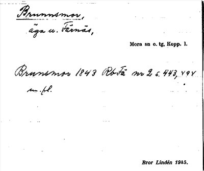 Bild på arkivkortet för arkivposten Brunnsmor