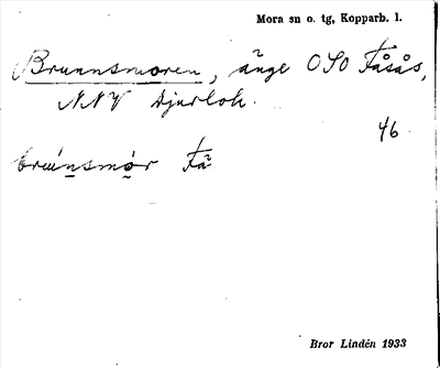 Bild på arkivkortet för arkivposten Brunnsmoren