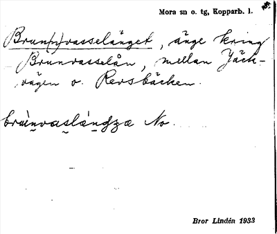 Bild på arkivkortet för arkivposten Brun(n)vasselänget