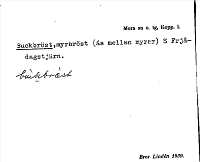 Bild på arkivkortet för arkivposten Buckbröst