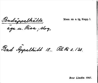 Bild på arkivkortet för arkivposten Budäppelkätte