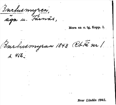 Bild på arkivkortet för arkivposten Burtusmyren