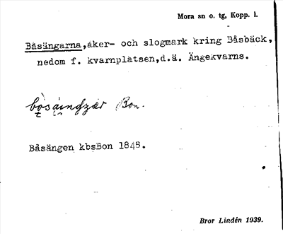 Bild på arkivkortet för arkivposten Båsängarna