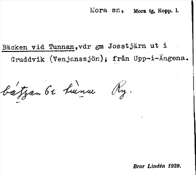 Bild på arkivkortet för arkivposten Bäcken vid Tunnan