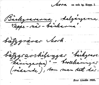 Bild på arkivkortet för arkivposten Bäckgravarna