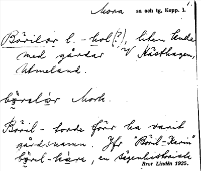 Bild på arkivkortet för arkivposten Börilor l. -hol(?)