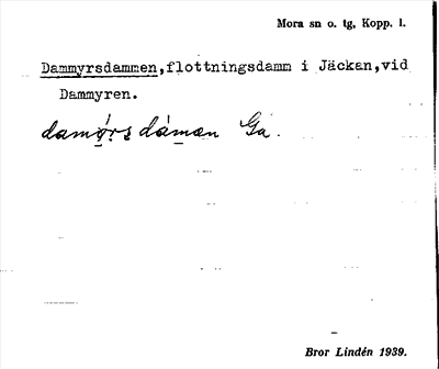 Bild på arkivkortet för arkivposten Dammyrsdammen