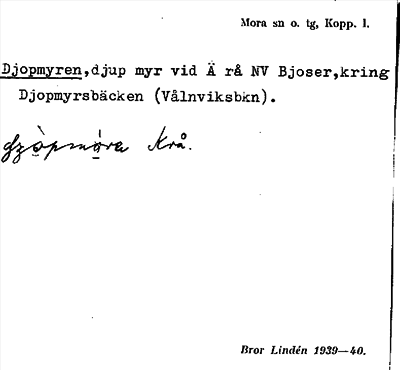Bild på arkivkortet för arkivposten Djopmyren
