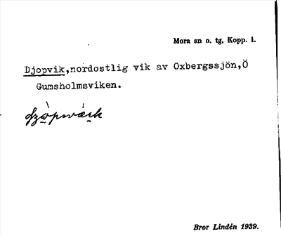 Bild på arkivkortet för arkivposten Djopvik