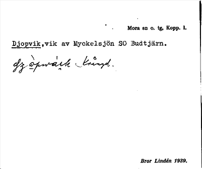Bild på arkivkortet för arkivposten Djopvik