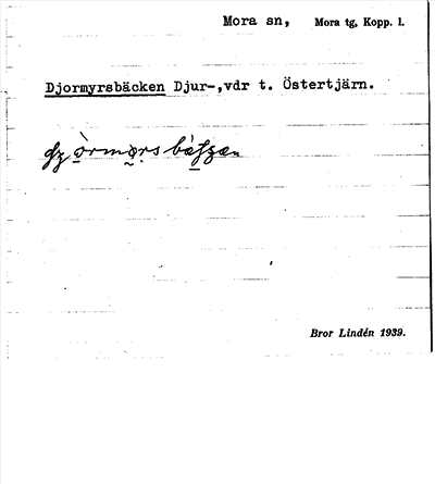 Bild på arkivkortet för arkivposten Djormyrsbäcken