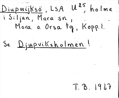 Bild på arkivkortet för arkivposten Djupwijksö