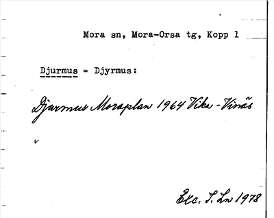 Bild på arkivkortet för arkivposten Djurmus = Djyrmus