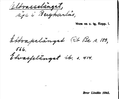 Bild på arkivkortet för arkivposten Ettvasselänget