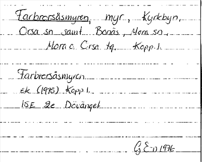 Bild på arkivkortet för arkivposten Farbrorsåsmyren