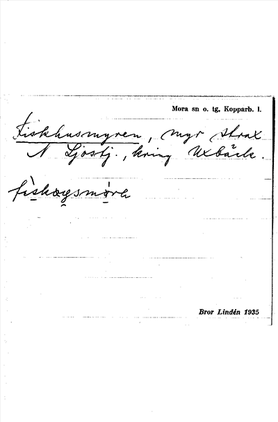 Bild på arkivkortet för arkivposten Fiskhusmyren