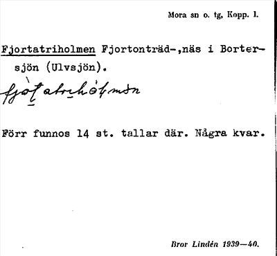 Bild på arkivkortet för arkivposten Fjortatriholmen