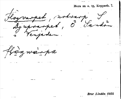Bild på arkivkortet för arkivposten Flogvarpet