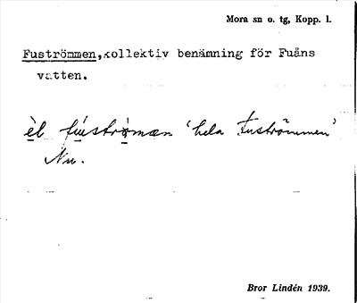 Bild på arkivkortet för arkivposten Fuströmmen
