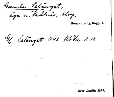 Bild på arkivkortet för arkivposten Gamla Selänget