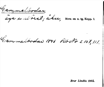Bild på arkivkortet för arkivposten Gammelbodar