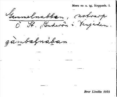 Bild på arkivkortet för arkivposten Gammelnabben