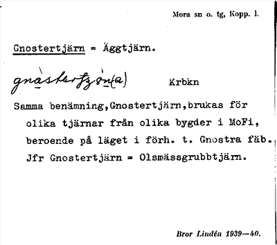 Bild på arkivkortet för arkivposten Gnostertjärn