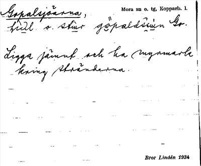Bild på arkivkortet för arkivposten Gopalsjöarna