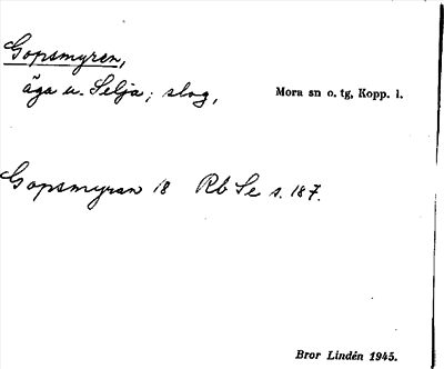 Bild på arkivkortet för arkivposten Gopsmyren