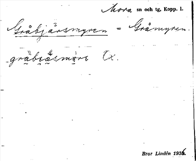 Bild på arkivkortet för arkivposten Gråbjärsmyren