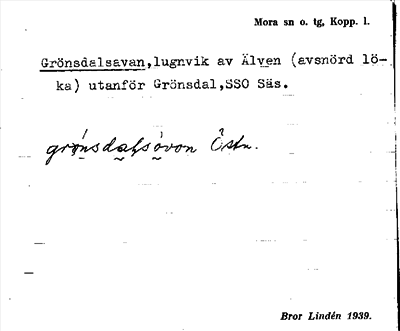 Bild på arkivkortet för arkivposten Gröndalsavan