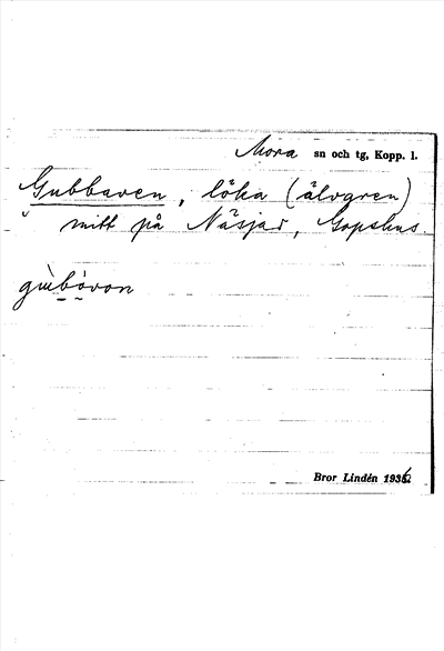 Bild på arkivkortet för arkivposten Gubbaven