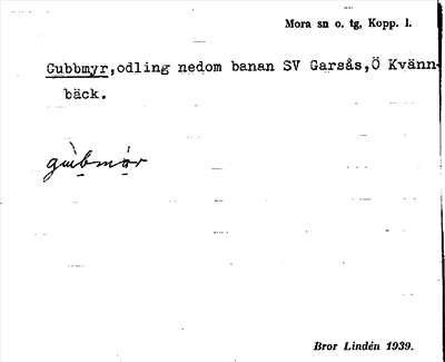Bild på arkivkortet för arkivposten Gubbmyr