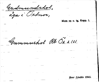 Bild på arkivkortet för arkivposten Gudmundshol
