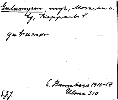 Bild på arkivkortet för arkivposten Gulumyren