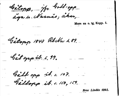 Bild på arkivkortet för arkivposten Gåtopp