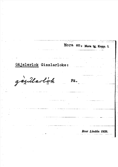 Bild på arkivkortet för arkivposten Gäjslerlok